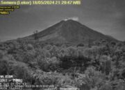 Gunung Semeru erupsi 14 kali dalam sehari 