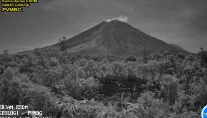 Gunung Semeru erupsi Lagi, 14 kali dalam sehari 