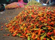 Harga Pangan Hari Ini, Cabai Rawit Merah Naik Gula Turun
