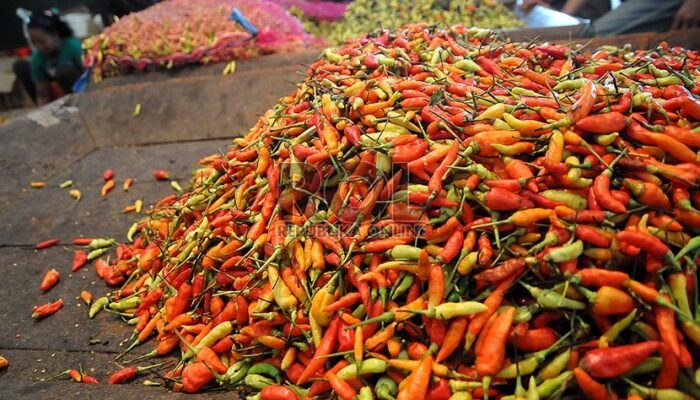 Harga Pangan Hari Ini, Cabai Rawit Merah Naik Gula Turun