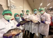 Regal Springs Indonesia Memimpin Transformasi Blue Food bersama FAO dan IPB University