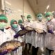 Regal Springs Indonesia Memimpin Transformasi Blue Food bersama FAO dan IPB University