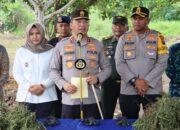 Polda Sumut Temukan Ladang Ganja di Mandailing Natal Dengan Data Satelit
