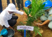 PTPN IV Adolina Mulai Penanaman Perdana 737 Hektar