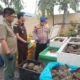 Dit Polairud Polda Sumut Sita 1.600 Ekor Belangkas Dari Serdangbedagai