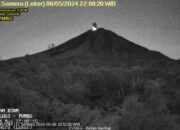 Gunung Semeru kembali erupsi dengan letusan setinggi 800 meter