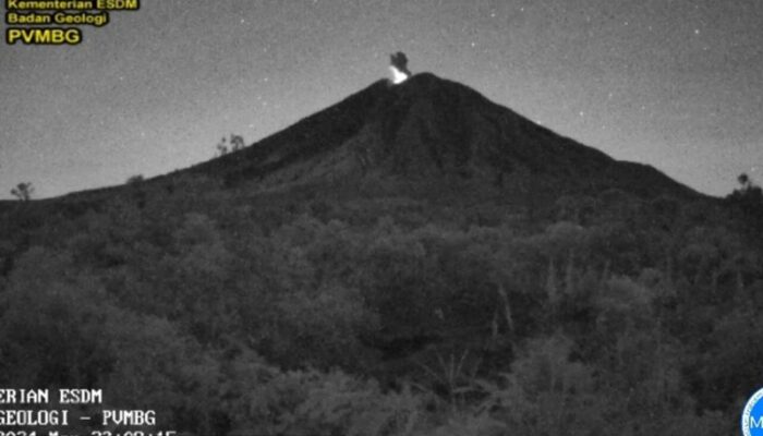 Kembali Erupsi, letusan Gunung Semeru setinggi 800 meter