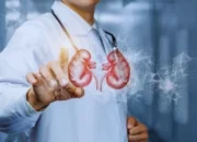 Beberapa Aspek Penyebab Gagal Ginjal di Usia Muda dan Cara Mencegahnya