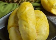 Fakta atau Mitos? Buah Durian Bisa Bikin Kolesterol Tinggi