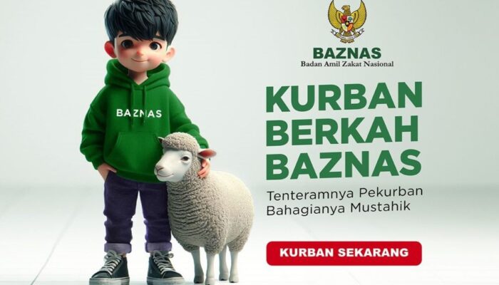 Cek Harga Kambing Kurban di Sini