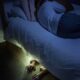 Benarkah Ketindihan Saat Tidur Berkaitan dengan Hal Mistis? Ini Faktanya
