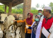 Pemkab Sergai Pastikan Harga Stabil dan Hewan Kurban Sehat Jelang Idul Adha