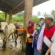 Pemkab Sergai Pastikan Harga Stabil dan Hewan Kurban Sehat Jelang Idul Adha