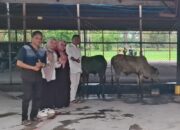 Regal Springs Indonesia Salurkan Hewan Kurban ke Masyarakat Sekitar Pabrik