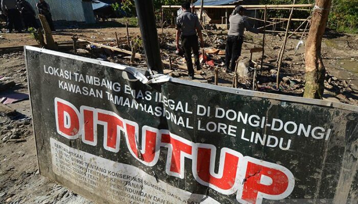 Anggota DPR desak aparat usut tuntas dalang tambang ilegal di Palu