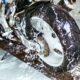 Memulai Usaha Cuci Sepeda Motor Beserta Estimasi Modal Usahanya