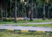 Jaga Kebugaran, Bupati Sergai Ajak Warga Rutin Olahraga di Alun-Alun