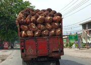Potensi Bahaya Truk Tanpa Penutup di Sergai