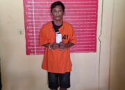 Polsek Firdaus Meringkus Pelaku Perampas HP di Kampung Pala