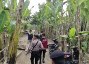 Polrestabes Medan Gerebek 3 Lokasi Barak Narkoba di Medan Sunggal