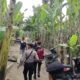 Polrestabes Medan Gerebek 3 Lokasi Barak Narkoba di Medan Sunggal