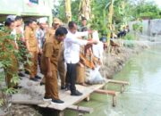Sergai Pacu Produksi Ikan, 8 Pokdakan Terima Bantuan DAK