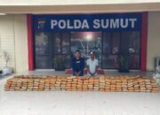 272 Kilogram Ganja Asal Aceh Digagalkan Polda Sumut di Langkat, Dua Pelaku Ditangkap