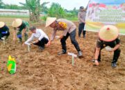 Jalankan Program Presiden RI, Kapolres Tebing Tinggi Tanam Bibit Jagung di Padang Hulu
