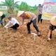 Jalankan Program Presiden RI, Kapolres Tebing Tinggi Tanam Bibit Jagung di Padang Hulu