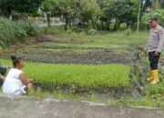 Polres Tebing Tinggi Laksanakan Program Asta Cita, Data Pekarangan Pangan Bergizi
