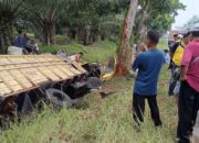 Truk Bermuatan Ikan Teri Terguling di Serdang Bedagai, Dua Orang Dilarikan ke Rumah Sakit
