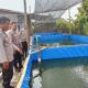 Dukung Program P2L, Polres Tebing Tinggi Lakukan Peninjauan Kolam Ikan Lele