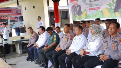 Di Polsek Padang Hulu, Kapolres Tebing Tinggi Pimpin Panen Raya Jagung Tahap I Di Polsek Padang Hulu, Kapolres Tebing Tinggi Pimpin Panen Raya Jagung Tahap I