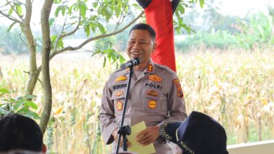 Di Polsek Padang Hulu, Kapolres Tebing Tinggi Pimpin Panen Raya Jagung Tahap I