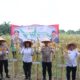 Di Polsek Padang Hulu, Kapolres Tebing Tinggi Pimpin Panen Raya Jagung Tahap I