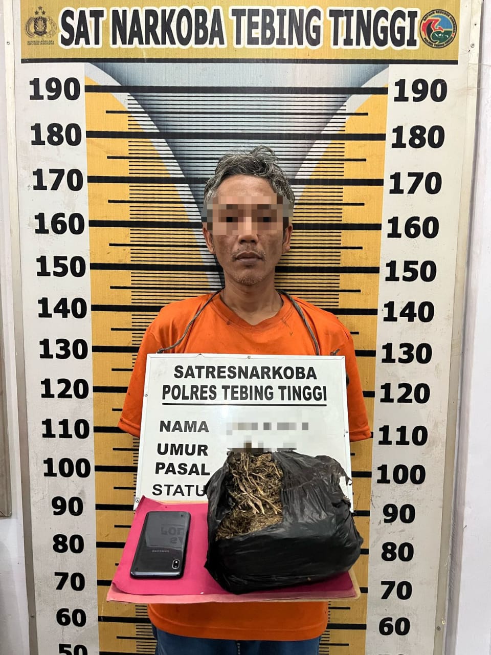 Pria Pembawa 1 Kg Ganja Ditangkap Sat Resnarkoba Polres Tebing Tinggi
