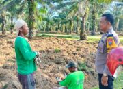 Polsek Tebing Tinggi Monitoring Perbaikan Jalan Sekaligus Penanaman Ubi
