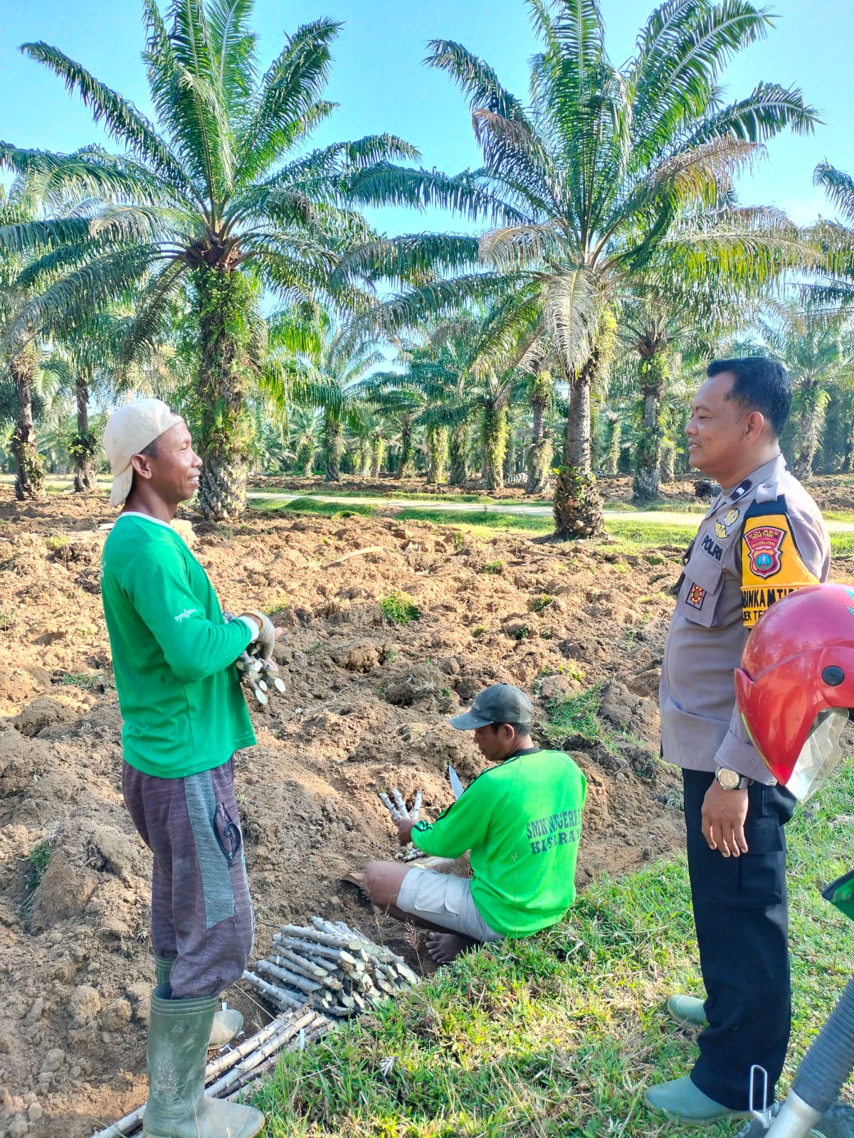 Polsek Tebing Tinggi Monitoring Perbaikan Jalan Sekaligus Penanaman Ubi