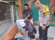 Mayat Perempuan Ditemukan di Sei Rampah, Polsek Firdaus Lakukan Otopsi