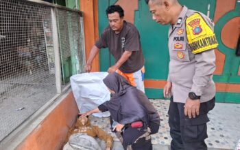 Mayat Perempuan Ditemukan di Sei Rampah, Polsek Firdaus Lakukan Otopsi