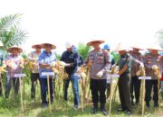 Polres Tebing Tinggi Panen Raya Jagung, Dukung Program Ketahanan Pangan Nasional