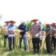 Polres Tebing Tinggi Panen Raya Jagung, Dukung Program Ketahanan Pangan Nasional