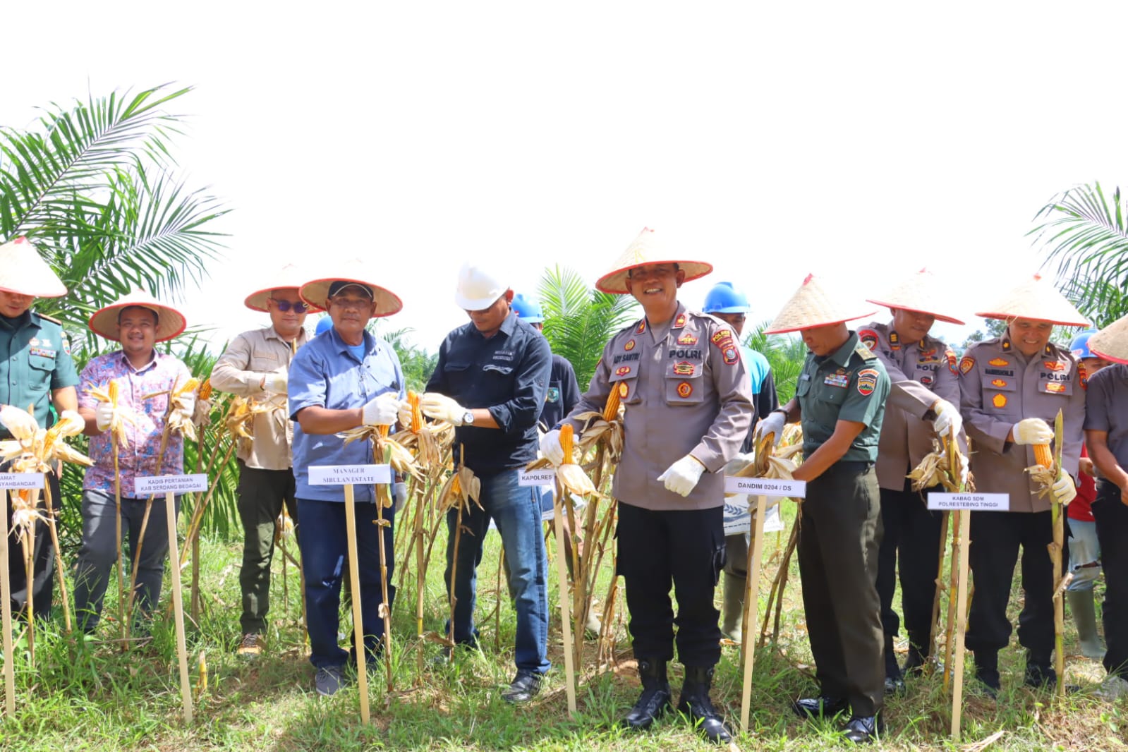 Polres Tebing Tinggi Panen Raya Jagung, Dukung Program Ketahanan Pangan Nasional