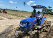 Sergai Targetkan Dua Kali Panen Setahun, Petani Siap Swasembada