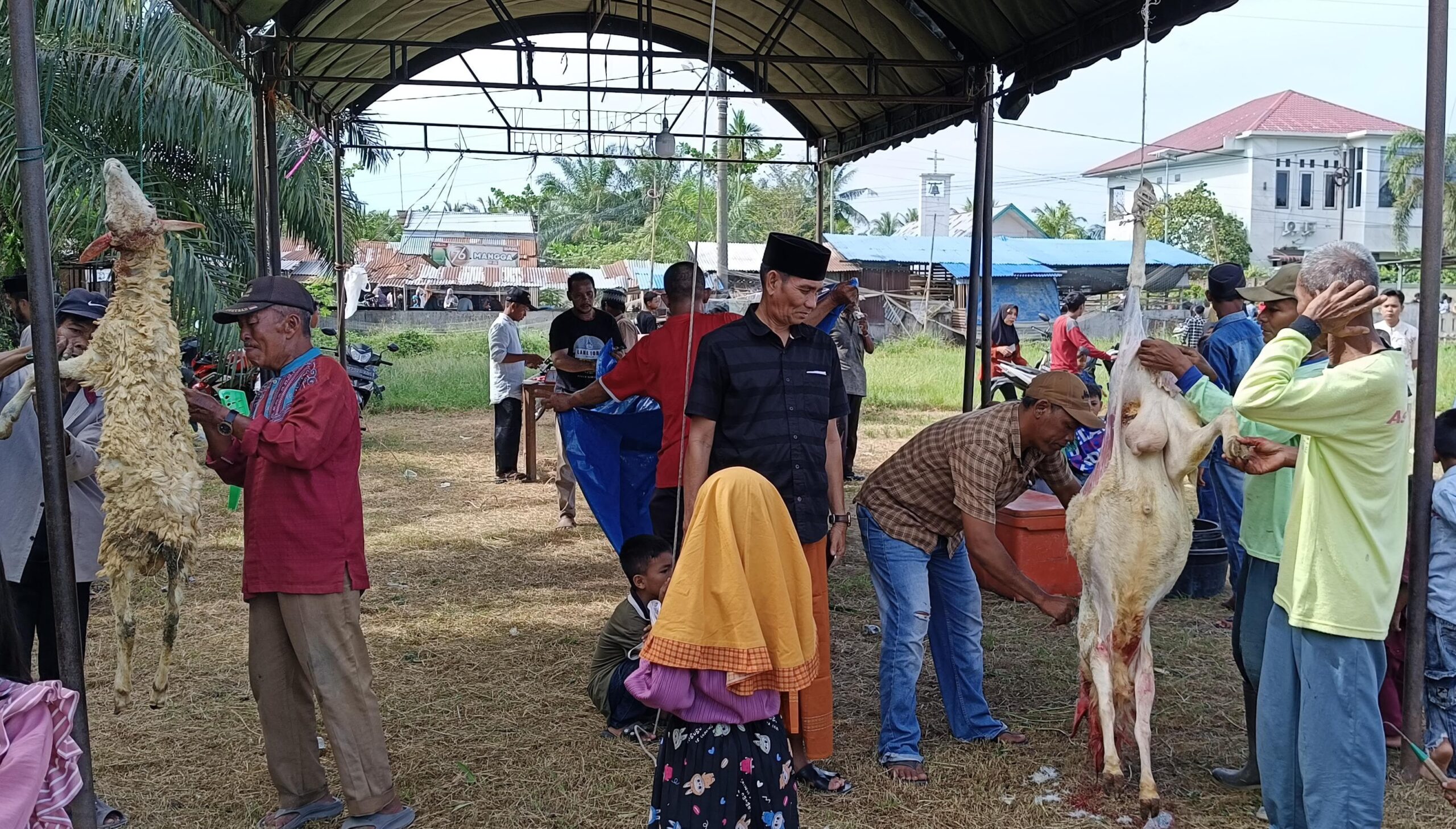 Rayakan Idul Adha 1446 H, Kolaborasi Masyarakat dan Pemdes Pekan Sialang Buah Potong 28 ekor Hewan Kurban