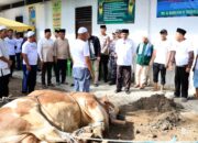 Sapi Kurban Presiden Prabowo Seberat 800 Kg Disalurkan di Sergai
