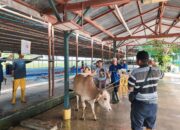 Bukan Sekadar Tradisi:, Regal Springs Indonesia Wujudkan Komitmen Sosial Lewat Kurban untuk Komunitas