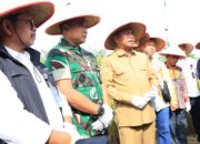 Sinergi TNI-Pemkab Sergai, Padi Sinar Mentari Capai 10 Ton/Ha, Bupati Puji Dukungan TNI