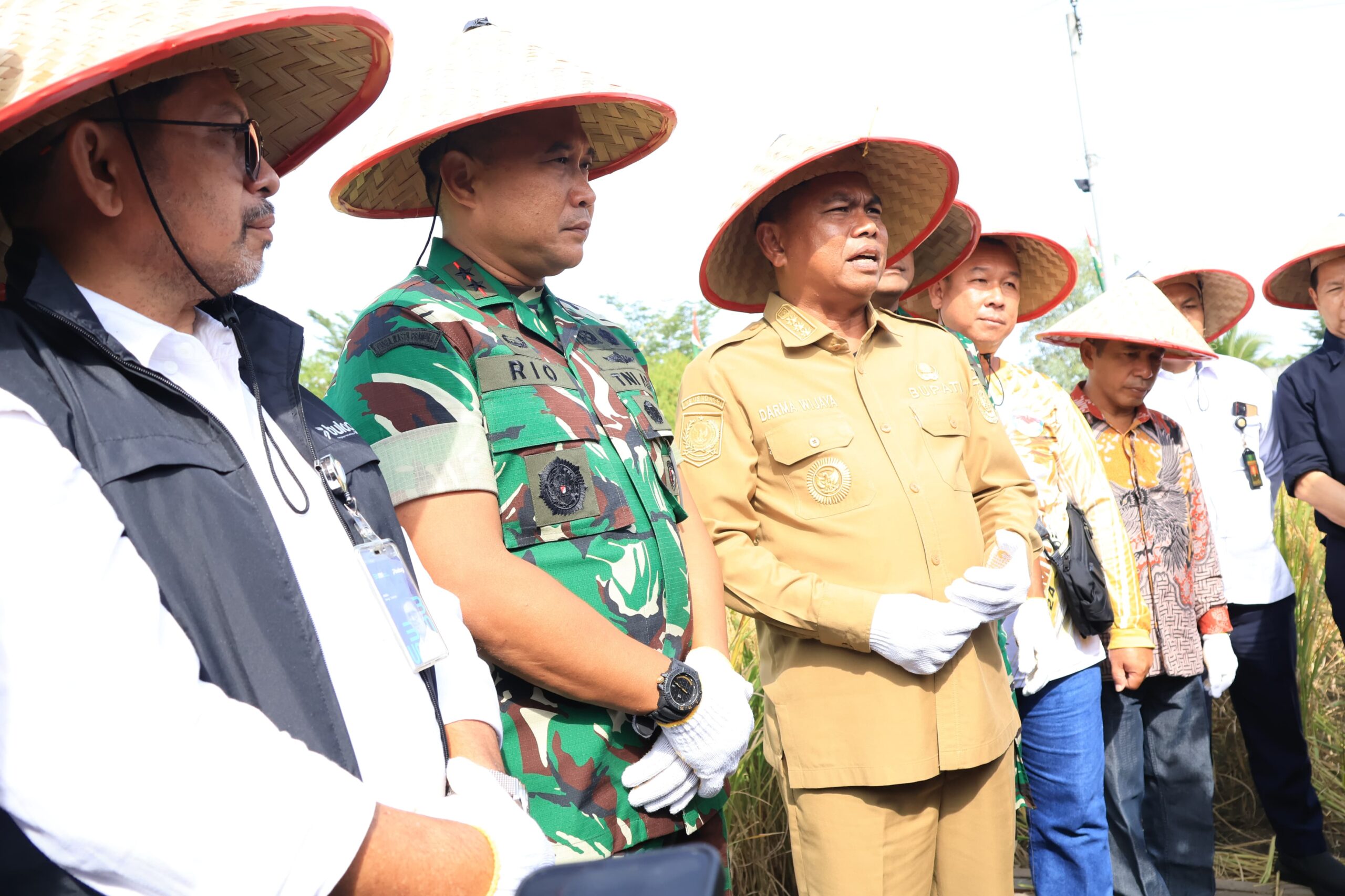 Sinergi TNI-Pemkab Sergai, Padi Sinar Mentari Capai 10 Ton/Ha, Bupati Puji Dukungan TNI