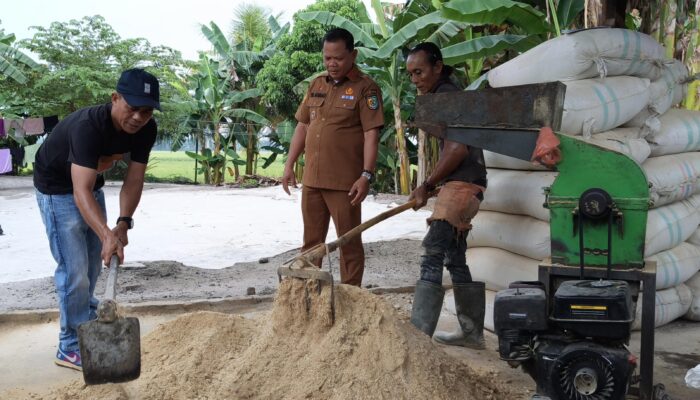 Pakan Ternak Olahan Kerangka Ikan, Inovasi Zaini Bangkitkan Ekonomi Lokal